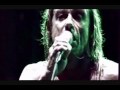 Iggy Pop & The Stooges - Dead Rock Star