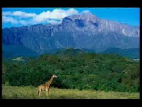 download lagu mp3 mp4 Radio Maana, download lagu Radio Maana gratis, unduh video klip Radio Maana