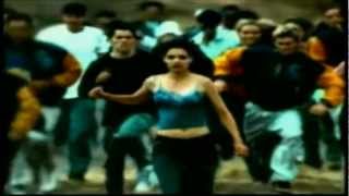 The Flys - Got You (Where I Want You) HD