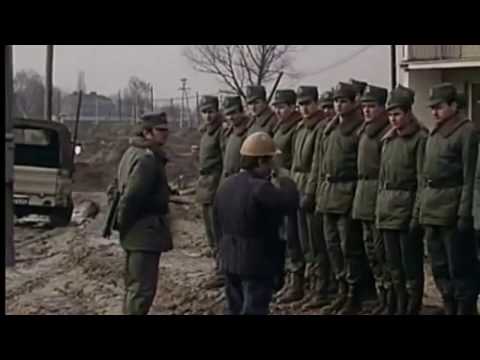 Maliniak szefem Stefana