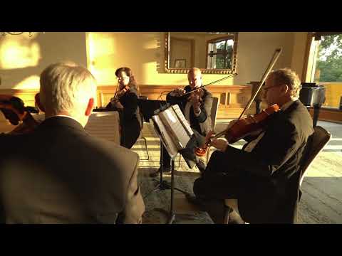 Promotional video thumbnail 2 for Forte Strings Quartet