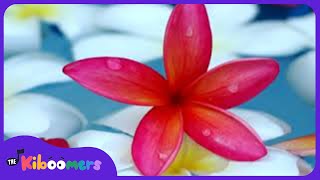 Relaxing Music | Music for Studying | Calming Music | Learning Music