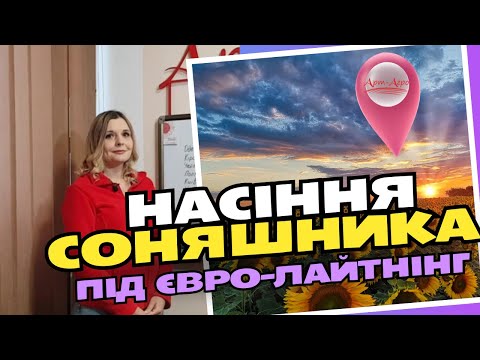 Сантос (100-105 дн) Стандарт семена подсолнечника под Евро-Лайтнинг - фото 1 - id-p2085508019