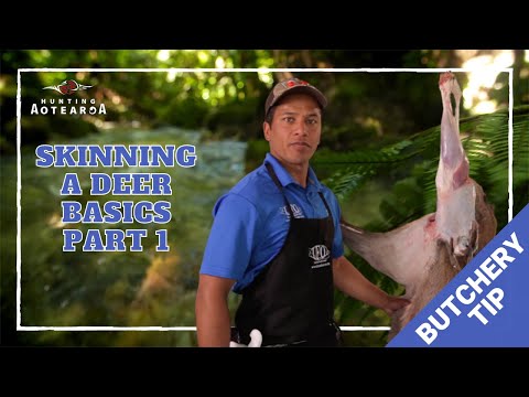 The basics of skinning a Deer - Hunting Aotearoa Tip Part 1