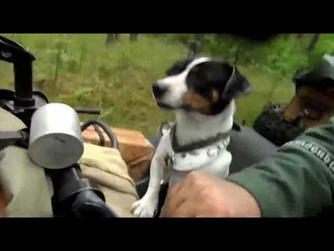 Helden sterben einsam Sturmwehr