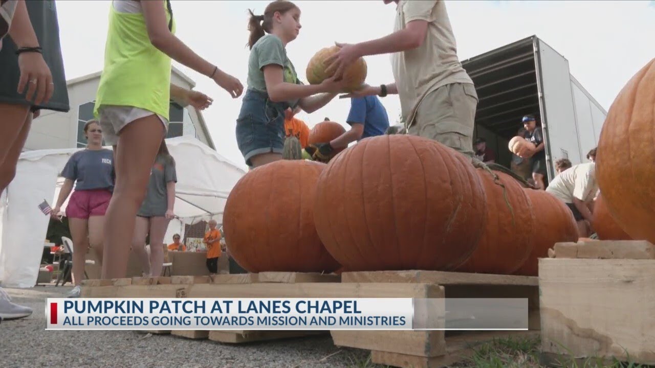Lanes Chapel hosts 9th annual charity pumpkin patch