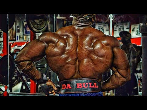 ELE TEM UMA DORSAL INSANA ‹ George Peterson ›