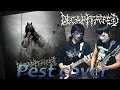 Pest [dual guitar cover] - Decapitated