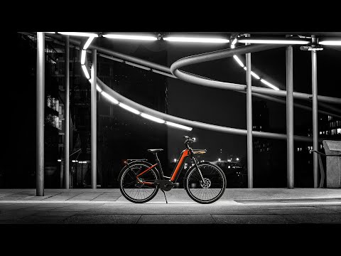 BERGAMONT E-VILLE | Experience. Evolve. E-Ville.