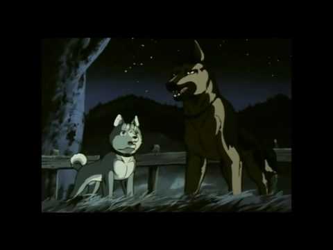 The Akita King Part 3 - Gins First Day