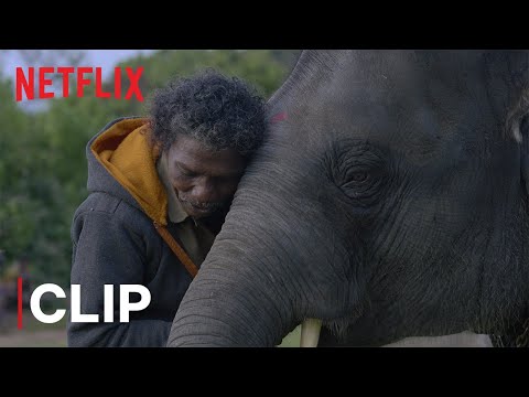 What Do Elephants Want? | The Elephant Whisperers | Oscar-Winning Documentary | Netflix India — The Elephant Whisperers