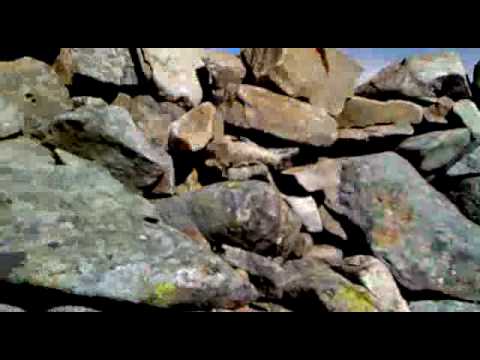 Carn Liath summit 19-06-2010 (Creag Meagaidh)