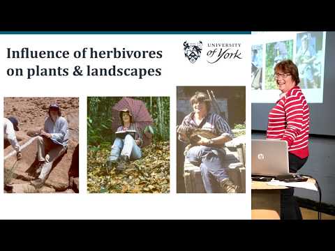 Knepp "Freeing the Landscape": Vera Talks - Sue Hartley