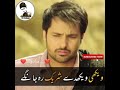 Aj Mariaa Dy Wich Aa Ginti WhatsApp Status