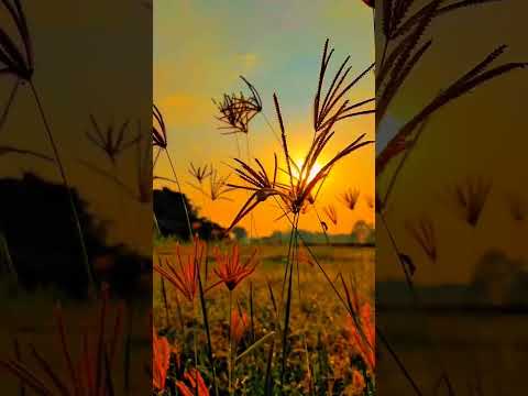 sun set please thise vidio #subscriber #please