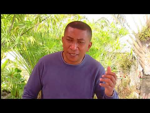 Prepare 239: Will we continue to sin under grace?_22/07/2020