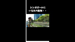 シンガポールにいるあの生き物!会えたらラッキー!?♡