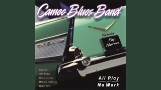 Music video thumbnail preview for Why Can't You be Happy by Cameo Blues Band