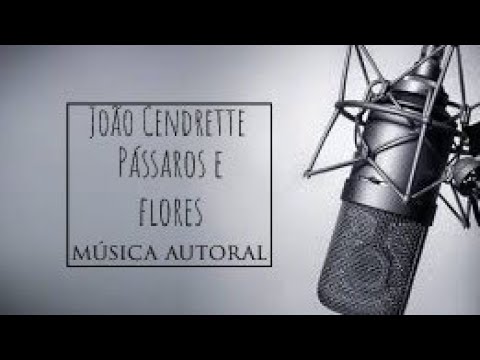 Pássaros E Flores video
