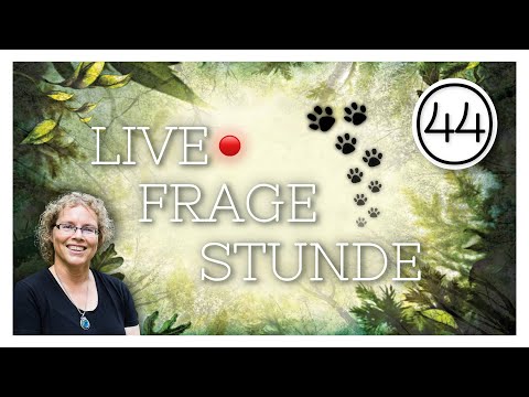 Fragestunde Nr 44 Katja Brandis