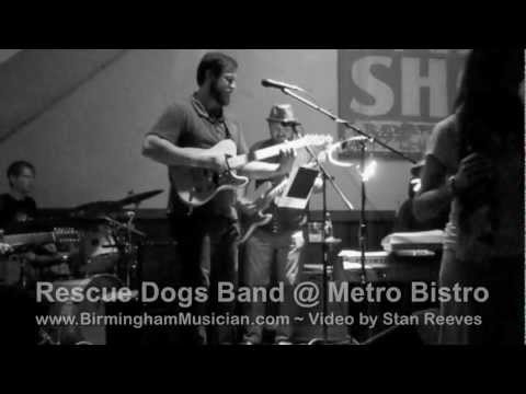 Rescue Dogs Band 
