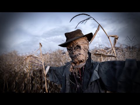 3 True Disturbing Fall Horror Stories