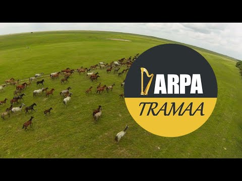 Rafael Volcán - El Dueño de Mata e' Mono