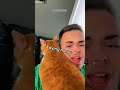 Funny Cats 2025 Fyp Part 2225