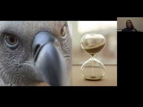 RBBC Mthly Meeting - Vulpro - Kerry Wolter -Jun 2021