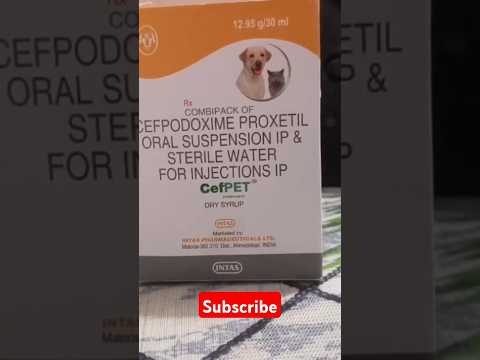 CEFPET DRY SYRUP FOR ANIMAL (30ml Bottle) video by NBG Corporation