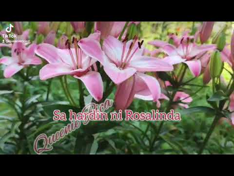 SA Hardin ni Rosalinda