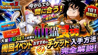 【ドッカンバトル】今からでも間に合う！大量龍石GETに必要な周回イベント『仙猫と食いしん坊』とおすすめのチケット入手方法について！【完全解説】