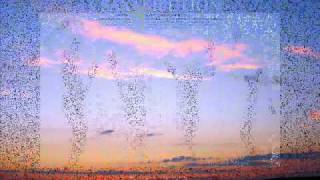 Ne Yo-Back To What You Know (SAXTRIBUTION)