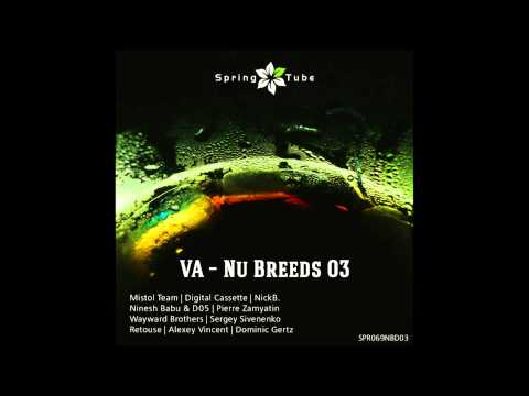 Wayward Brothers - Sea Breeze (Original Mix) [SPR069NBD03]
