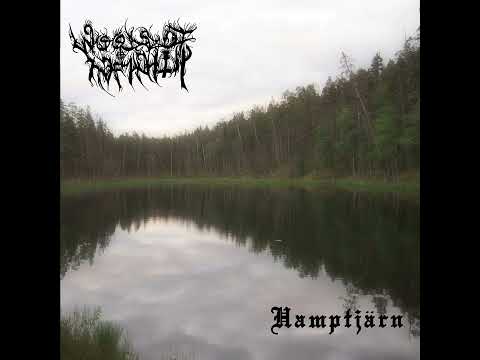 Woods of infinity - Forsta Augusti