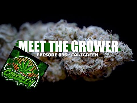 Meet the Grower Ep. 036 - CaliGreen - Sponsored by Mars Hydro
