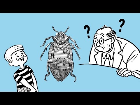 Wittgenstein's Beetle in a Box Analogy