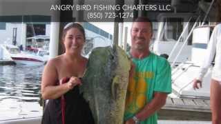 preview picture of video 'Fishing Charter Navarre FL Angry Bird Fishing Charters LLC'