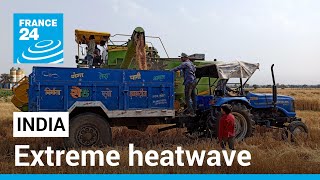Extreme heatwave scorches India’s wheat harvest, snags export plans • FRANCE 24 English