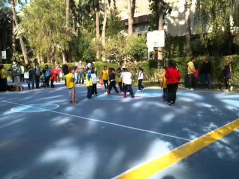 Baloncesto Benjamín masculino. Colegio Rincón de Bonanza e Ismael García. 16/11/ 2013.