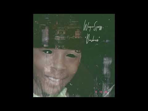 WaynoSpazz- Darkness (Official Audio)