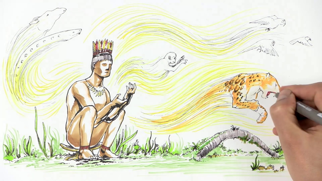 ¿Por que a Amazônia é importante?