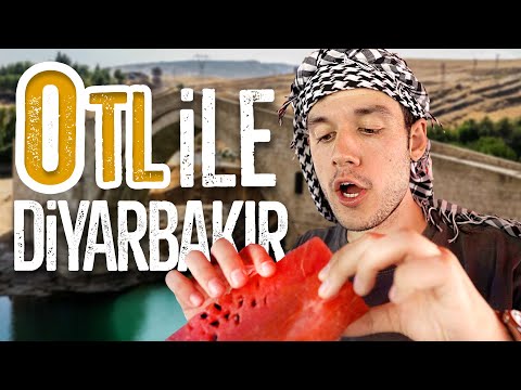 DİYARBAKIR'DA 0TL İLE 1 GÜN GEÇİRMEK!