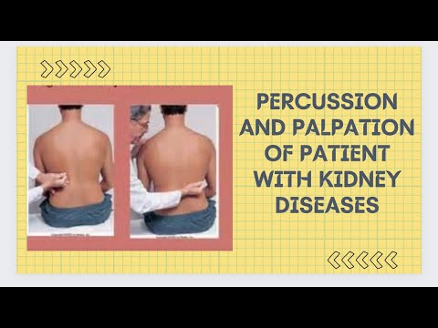 Percussion and palpation of Patient with kidney diseases
