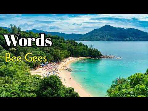 Words - Bee Gees lyrics
