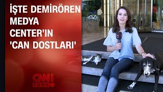 İşte Demirören Medya Center'ın 'can dostları'