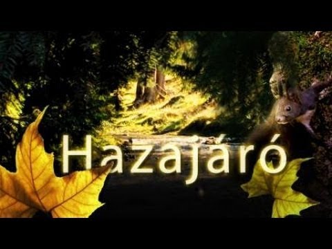 Hazajaró pillanatok - Erdély - Kelemen-havasok