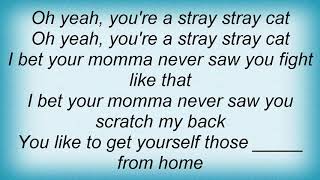 Soundgarden - Stray Cat Blues Lyrics