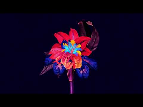 Maribou State - 'Nervous Tics (feat. Holly Walker)' (DJ Tennis Remix)