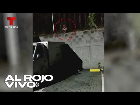 Vigilantes de un cementerio aseguran que se les apareció el espectro de una mujer